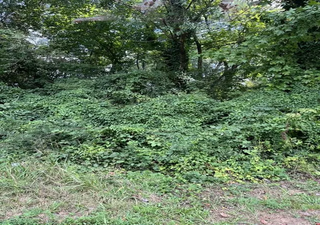 1st image of 0 Oak St, Canton, GA 30114 | MLS# 7821241