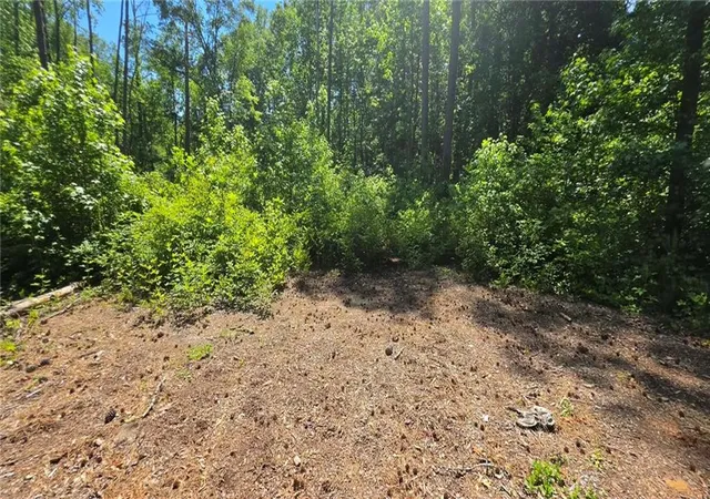 2nd image of 6099 Old Alabama Rd Sw, Austell, GA 30168 | MLS# 7763426