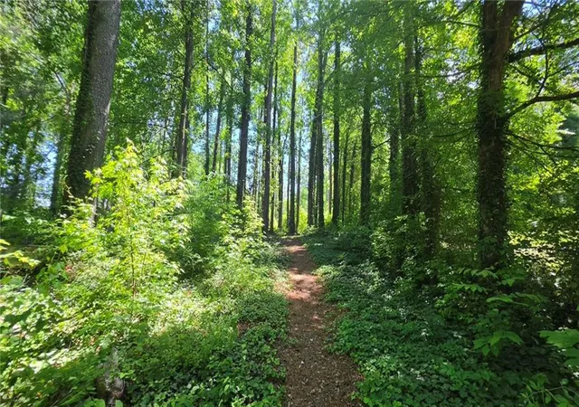 4th image of 6099 Old Alabama Rd Sw, Austell, GA 30168 | MLS# 7763426