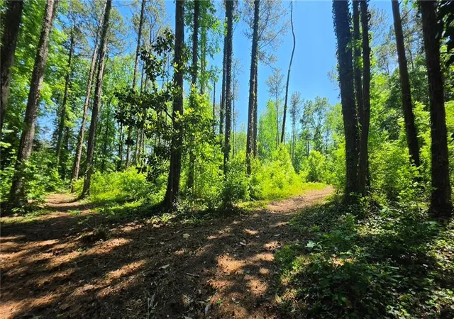5th image of 6099 Old Alabama Rd Sw, Austell, GA 30168 | MLS# 7763426