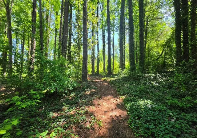 7th image of 6099 Old Alabama Rd Sw, Austell, GA 30168 | MLS# 7763426