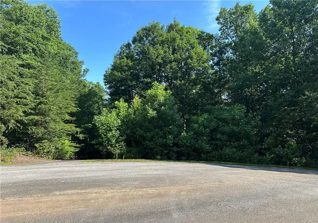 3rd image of 5 Lots Clearview Dr, Cleveland, GA 30528 | MLS# 7789955