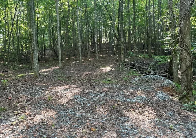 4th image of 5 Lots Clearview Dr, Cleveland, GA 30528 | MLS# 7789955