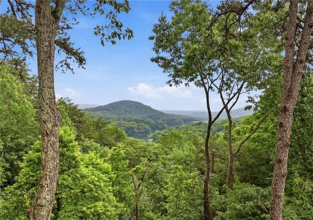 2nd image of 98 Wrens Nest, Jasper, GA 30143 | MLS# 7706331