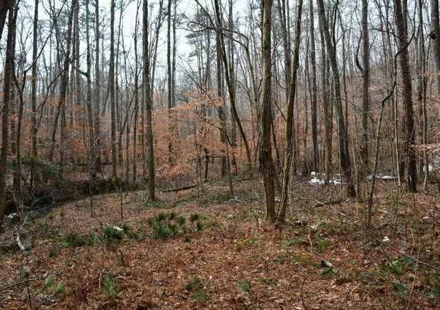 2nd image of 0 Willow Springs Rd, Dallas, GA 30132 | MLS# 7713364