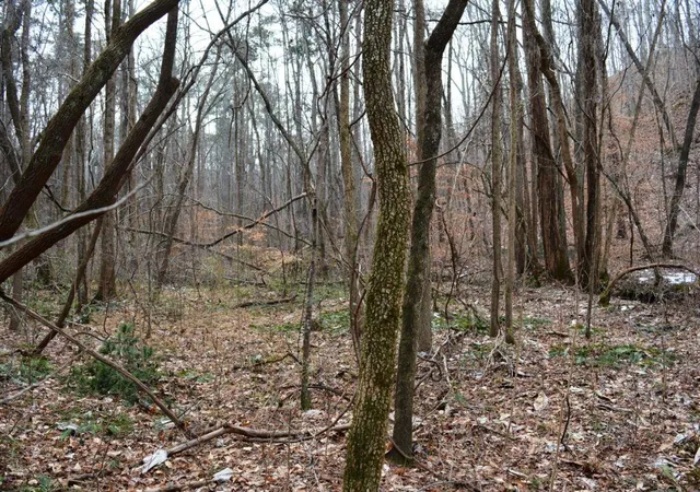3rd image of 0 Willow Springs Rd, Dallas, GA 30132 | MLS# 7713364
