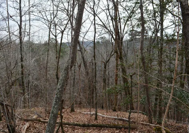 4th image of 0 Willow Springs Rd, Dallas, GA 30132 | MLS# 7713364