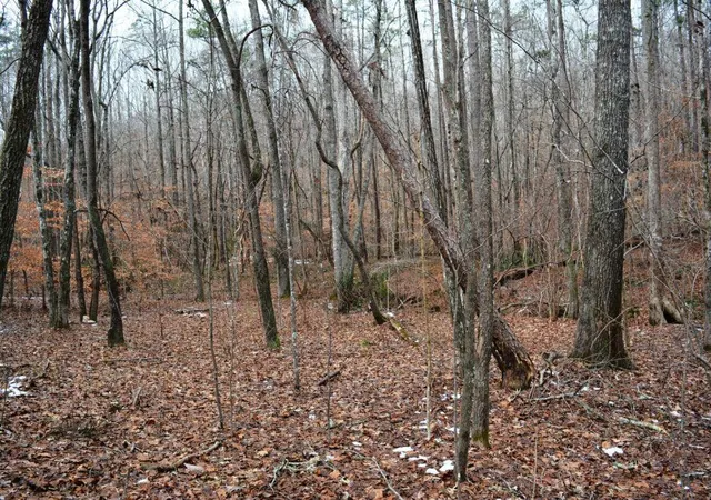 5th image of 0 Willow Springs Rd, Dallas, GA 30132 | MLS# 7713364