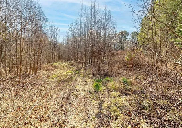 13th image of 170 Mackey Rd, Mcdonough, GA 30252 | MLS# 7782195