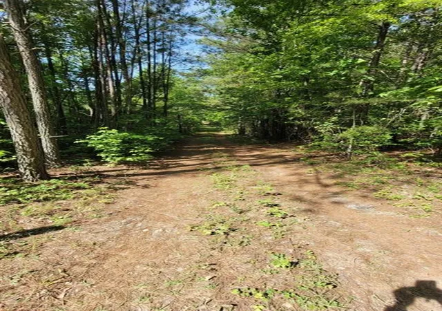 3rd image of (Undisclosed), Whitesburg, GA 30185 | MLS# 7770843