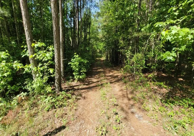 4th image of (Undisclosed), Whitesburg, GA 30185 | MLS# 7770843