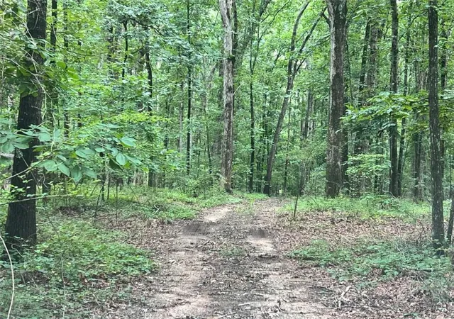 9th image of 1383 Sims Rd, Winder, GA 30680 | MLS# 7640677