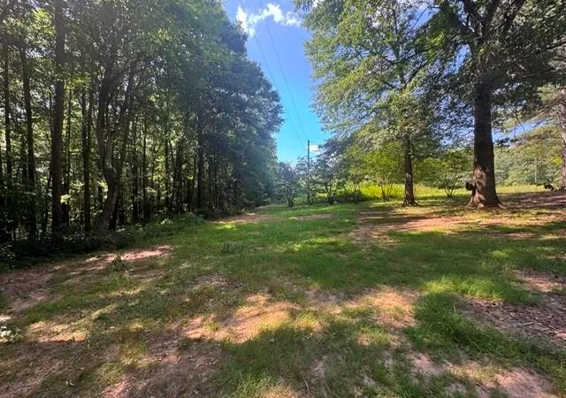 Homes for sale in Auburn, GA | 1065 Puckett Rd, Auburn, GA 30011 | MLS# 7801226