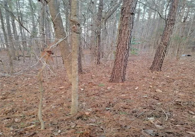 5th image of 0 North Creek Trl, Villa Rica, GA 30180 | MLS# 7758209