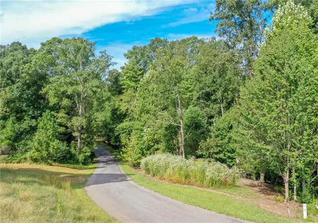 Homes for sale in Dahlonega, GA | 0 Strada Del Vino #10, Dahlonega, GA 30533 | MLS# 7744145