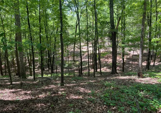 1st image of Tr 3 Chalcrest Wy, Cave Spring, GA 30124 | MLS# 7814937