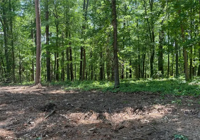 3rd image of Tr 3 Chalcrest Wy, Cave Spring, GA 30124 | MLS# 7814937