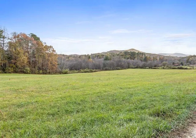 21st image of 1436 Night Ln, Epworth, GA 30541 | MLS# 7786401