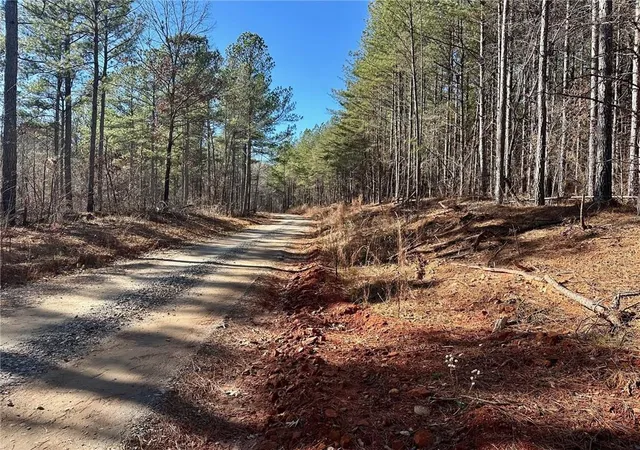 Homes for sale in Dahlonega, GA | 1107 Larmon Forks Rd, Dahlonega, GA 30533 | MLS# 7801121