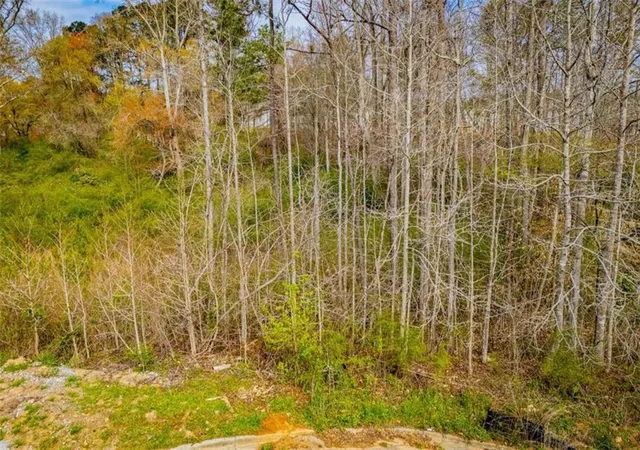 21st image of 138 Deer Xing, Temple, GA 30179 | MLS# 7739364