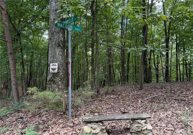 Land for sale at Lot 10 Mayfield Ln, Ranger, GA 30734 | MLS# 7818209