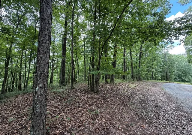 Photo 2 of Land for sale at Lot 10 Mayfield Ln, Ranger, GA 30734 | MLS# 7818209 | Listing updated on 2026-08-10