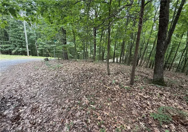 Photo 3 of Land for sale at Lot 10 Mayfield Ln, Ranger, GA 30734 | MLS# 7818209 | Listing updated on 2026-08-10