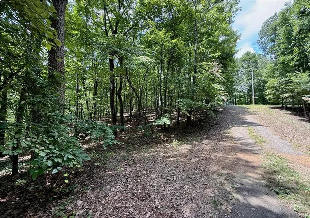 Photo 3 of Land for sale at Lot 10 Mayfield Ln, Ranger, GA 30734 | MLS# 7818209 | Listing updated on 2026-08-10