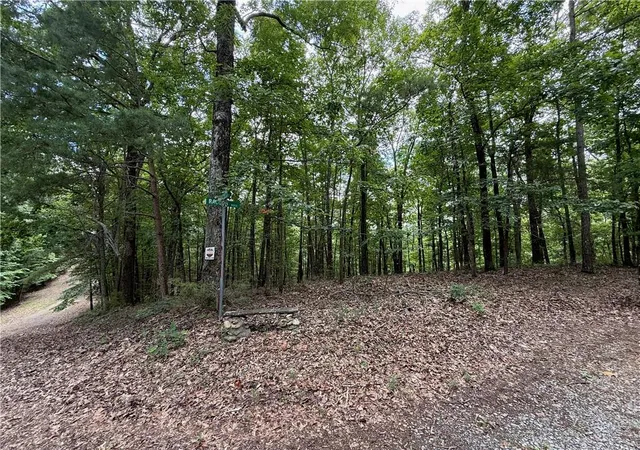 Photo 4 of Land for sale at Lot 10 Mayfield Ln, Ranger, GA 30734 | MLS# 7818209 | Listing updated on 2026-08-10