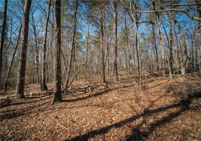 16th image of 00 Jennys Cove Rd, Cleveland, GA 30528 | MLS# 7807257