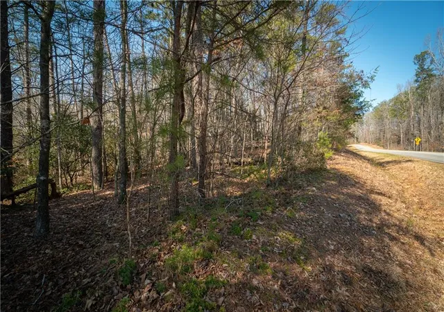 Photo 3 of Land for sale at 00 Jennys Cvs Rd, Cleveland, GA 30528 | MLS# 7807257 | Listing updated on 2026-07-27
