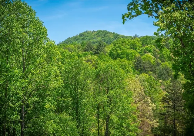 1st image of Lt4 4a Jonica Gap Rd, Mineral Bluff, GA 30559 | MLS# 7800329
