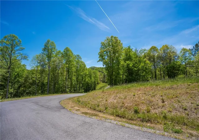 3rd image of Lt4-4A Jonica Gap Rd, Mineral Bluff, GA 30559 | MLS# 7800329