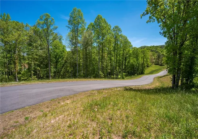 4th image of Lt4-4A Jonica Gap Rd, Mineral Bluff, GA 30559 | MLS# 7800329