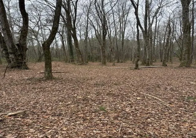 Photo 3 of Land for sale at 00 Center Rd, Cartersville, GA 30121 | MLS# 7764356 | Listing updated on 2026-06-24