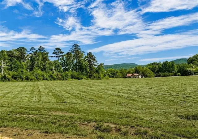 Land for sale at 118 Palisade Dr, Rydal, GA 30171 | MLS# 7812649 | Listing updated on 2026-10-15