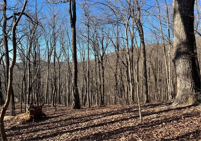 Photo 1 of Land for sale at 4546 Sassafras Ct, Jasper, GA 30143 | MLS# 7805363 | Listing updated on 2026-07-16