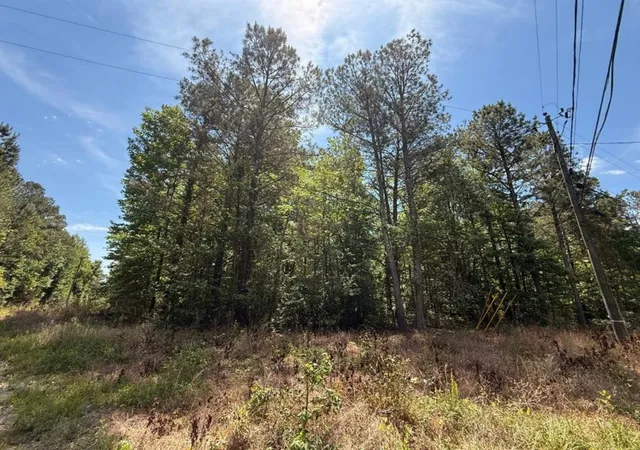 Homes for sale in Bremen, GA | 467 N Raburn Rd, Bremen, GA 30110 | MLS# 7771722