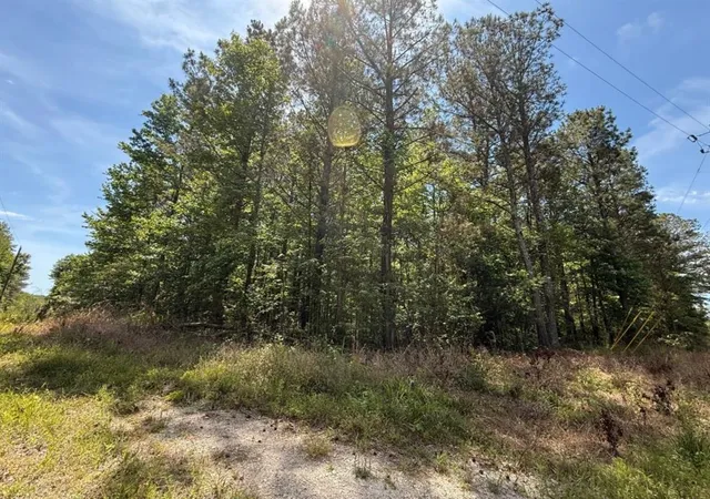 Homes for sale in Bremen, GA | 467 N Raburn Rd, Bremen, GA 30110 | MLS# 7771722