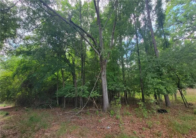 Homes for sale in Athens, GA | 0 Lester Rd, Athens, GA 30607 | MLS# 7763816