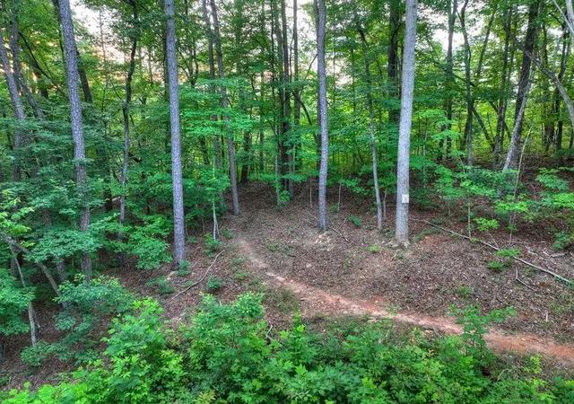 46th image of 270 Wild Oaks Wy, Ellijay, GA 30540 | MLS# 7816901