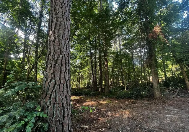 2nd image of 4074 Panola Rd, Lithonia, GA 30038 | MLS# 7620851