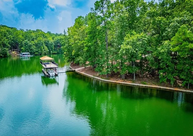 1st image of 741 Firefly Ln, Lineville, AL 36266 | MLS# 7817939