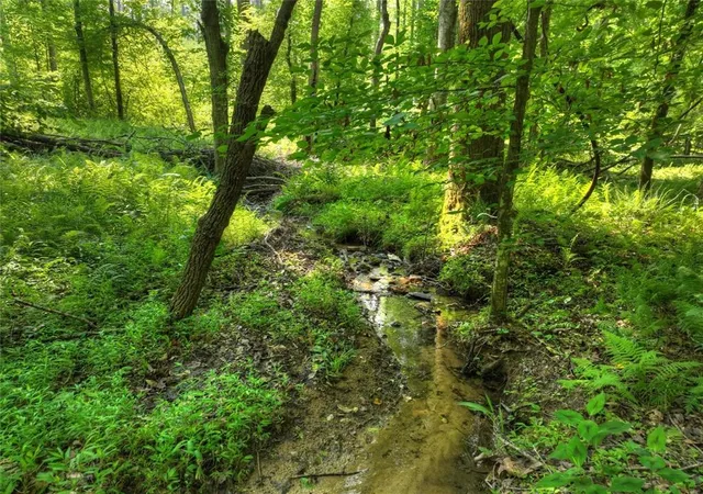3rd image of 279 Shallow Water Trl, Talking Rock, GA 30175 | MLS# 7797989