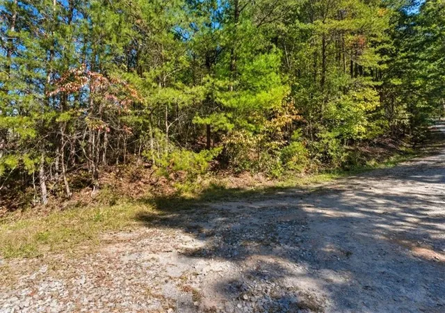 Homes for sale in Ranger, GA | 1666 Hunter Dr, Ranger, GA 30734 | MLS# 7802520