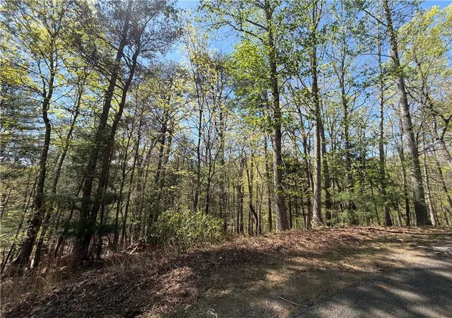 Photo 2 of Land for sale at 812 Horse Cvs Ct, Jasper, GA 30143 | MLS# 7750668 | Listing updated on 2026-04-11