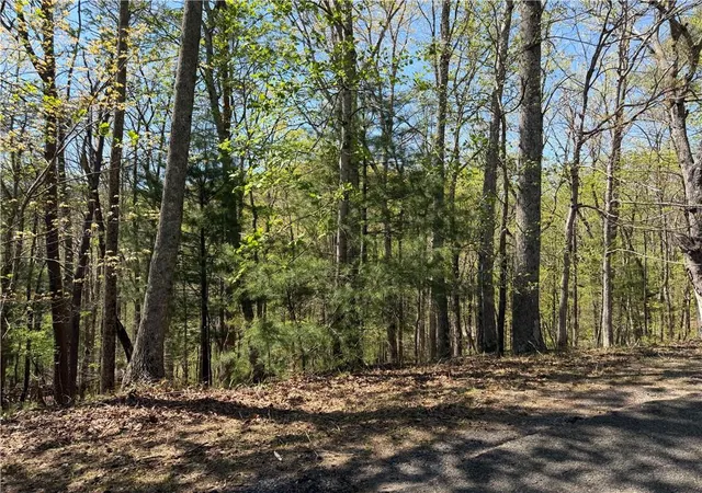 Photo 3 of Land for sale at 812 Horse Cvs Ct, Jasper, GA 30143 | MLS# 7750668 | Listing updated on 2026-04-11