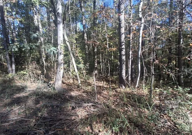 Land for sale at 0 Old Hamilton Mills Rd, Bremen, GA 30110 | MLS# 7860062
