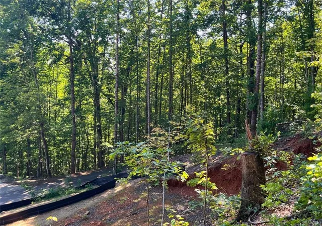 Photo 4 of Land for sale at Lot 8 Lake View, Clayton, GA 30525 | MLS# 7824224 | Listing updated on 2026-08-20