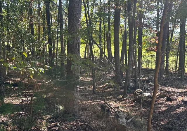 Photo 1 of Land for sale at Lt1351 Willow Ter, Jasper, GA 30143 | MLS# 7665342 | Listing updated on 2026-10-09